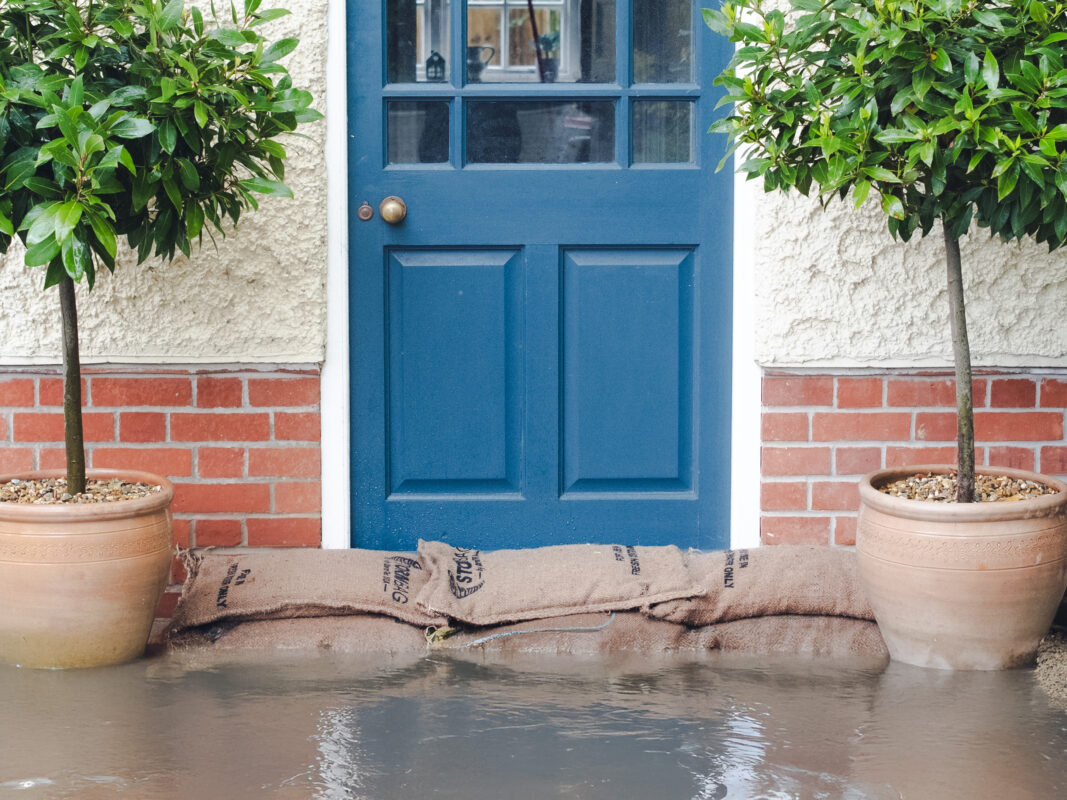 Wavian Quality Fuel Cans & Accessories